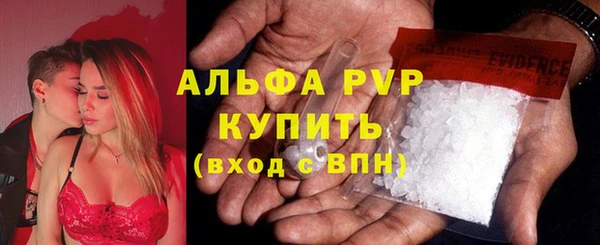 амф Алексин