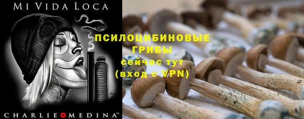 амф Алексин