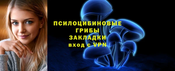 амф Алексин