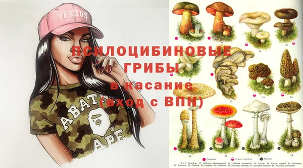амф Алексин
