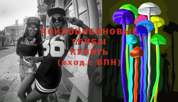 амф Алексин